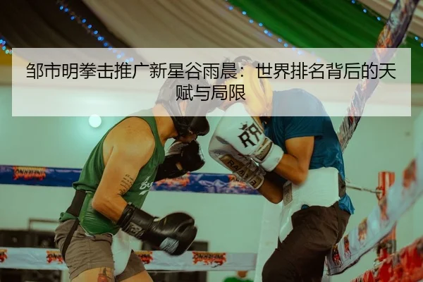 邹市明拳击推广新星谷雨晨：世界排名背后的天赋与局限